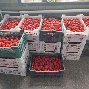 1759383828806-1_copy