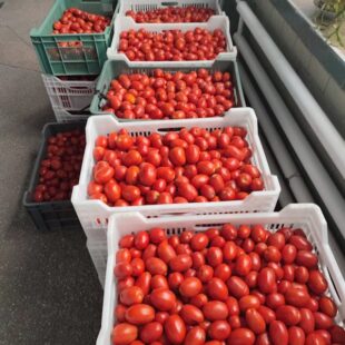 1759383828824-2_copy